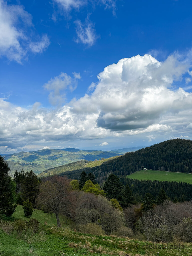 Le Schallern • Vallée de Munster : Une parenthèse hors du temps à 1100m