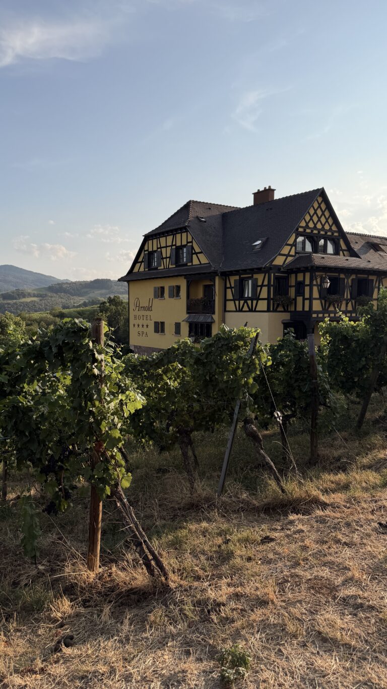 Hôtel Arnold **** • Une nuit entre spa, vignes et douceur alsacienne à Itterswiller